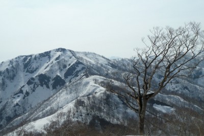 P1226mから若丸山