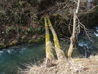 この丸太橋、渡れます？