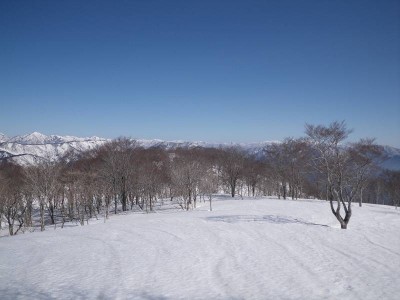 北尾根の雪原