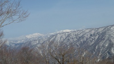 部子山と銀杏峰
