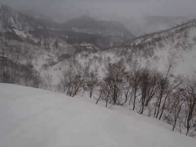 右岸尾根上から林道終点を見る