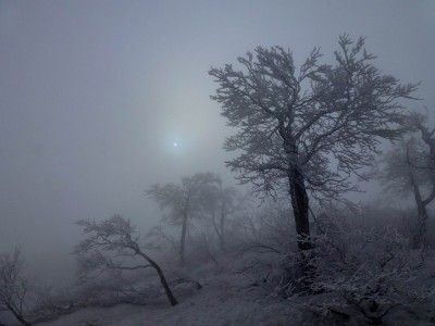 最初はガスっていました