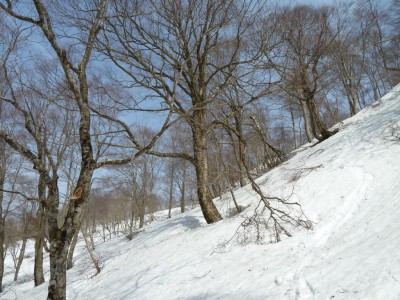 トラバースルート