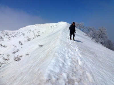 振り返ると青空が－美濃俣丸から大河内山への稜線で