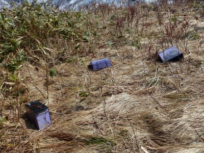 放置された電池