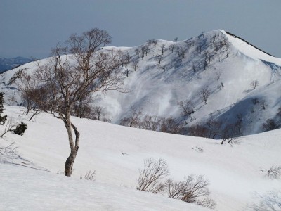 IMG_5187-s.JPG (134.09 KiB) 閲覧された回数 10855 回 北尾根から見る栗ヶ岳