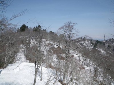 IMGP6494.JPG (73.72 KiB) 閲覧された回数 8577 回 県境の1200mジャンクションピークへ