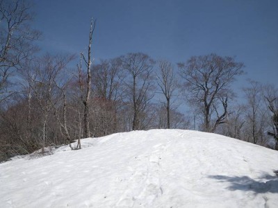 IMGP6524.JPG (51.82 KiB) 閲覧された回数 8577 回 左門岳山頂付近