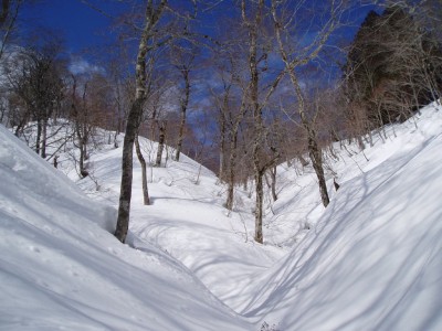 癒しの大平源頭部