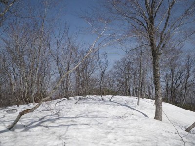 左門岳山頂間近