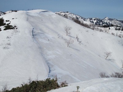 Ｐ1,740、さるがばんば、もみぬか