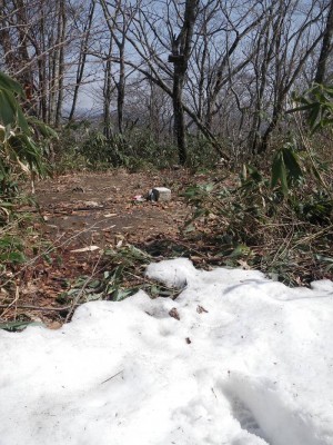 顔を出した左門岳三角点