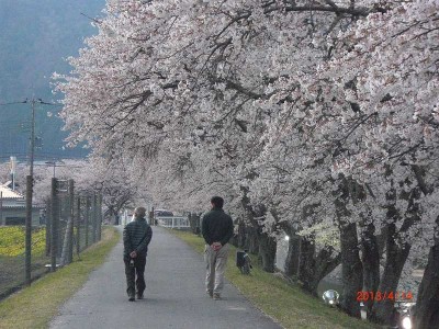 僕と親父（何十年ぶりでしょうか、あんまり一緒の写真がないです）