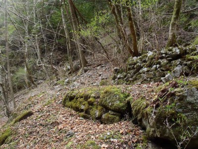 窯跡の左から斜面を登る。