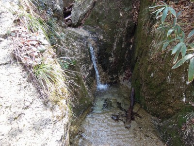 源頭部.jpg (474.49 KiB) 閲覧された回数 3346 回 源頭部