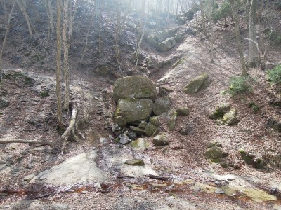 ブナ清水.jpg (514.7 KiB) 閲覧された回数 3345 回 いつもどおりのブナ清水なのだが....