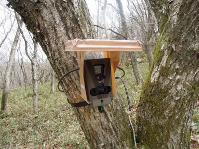 計測器.jpg (441.36 KiB) 閲覧された回数 3346 回 ブナ林観察用カメラ