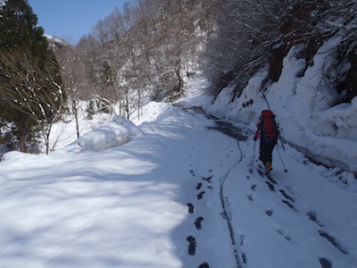 ひたすら林道歩き…スキーが重い…