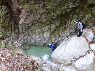腰までつかるシュークリームさん