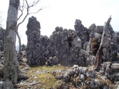 P4140051_512.jpg (45.43 KiB) 閲覧された回数 3135 回 サクラダ