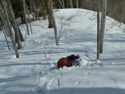 倒れてる人(^_^;)
