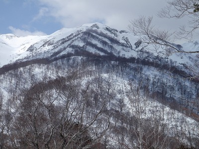 小白山への尾根