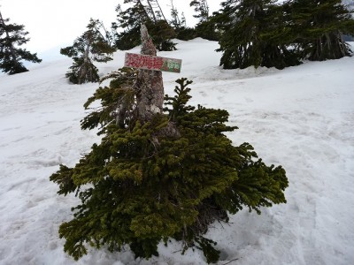 s-P1010312.jpg (130.43 KiB) 閲覧された回数 7294 回 お猿さん