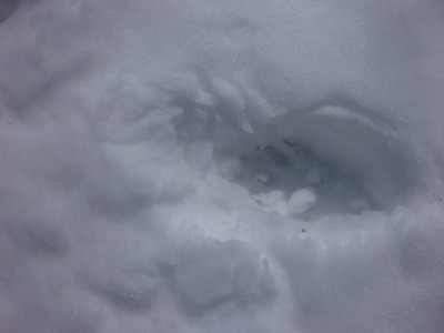 s-P1080068.jpg (52.26 KiB) 閲覧された回数 7304 回 熊さん