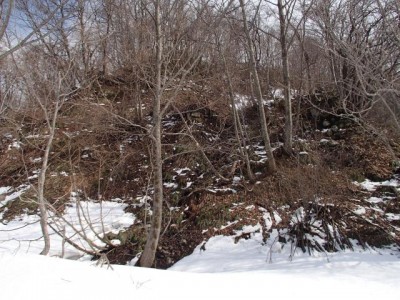 ま、フツーの藪でした