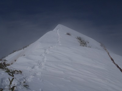 姿を現した願教寺山