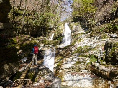 どうするかな？