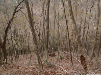 架線中継所跡の下に転がっているドラム缶。