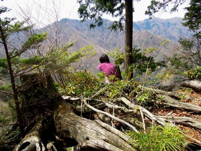 風折天井桟敷から撮影されているご婦人(^^;<br />見事にヤマザクラが咲いてます。