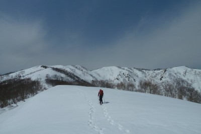 やっぱりこういうのがよろしいようで・・・