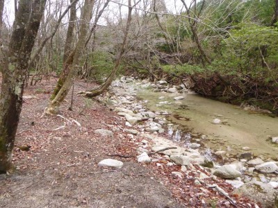 雰囲気のいい源頭部