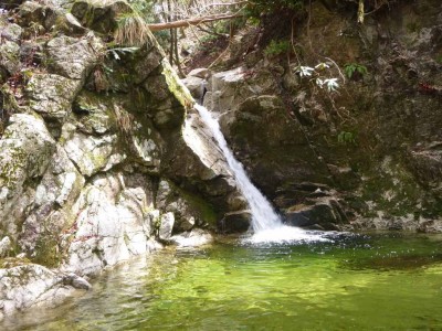 たまには滝もあります