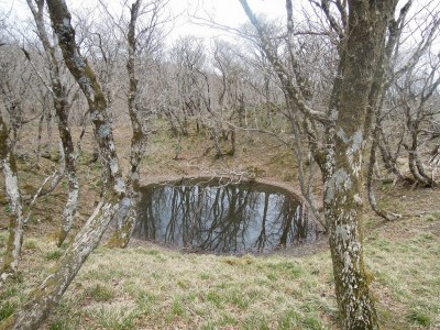 幸助の池.jpg (512.46 KiB) 閲覧された回数 2783 回 静かな春の幸助の池