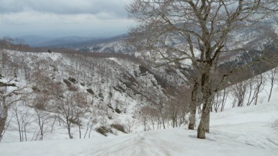 源頭部はいい感じです♪