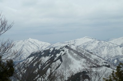 手前が初子ちゃん
