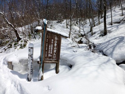 大杉登山口の様子