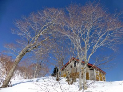 灌木の中に神鳩ノ宮避難小屋が現れる