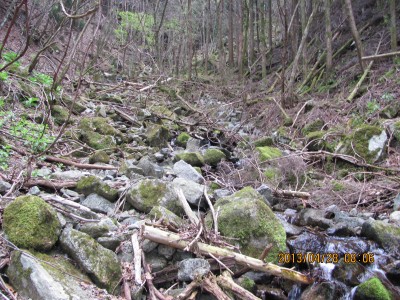 IMG_7270.JPG (524.87 KiB) 閲覧された回数 2774 回 上部のゴロゴロと倒木