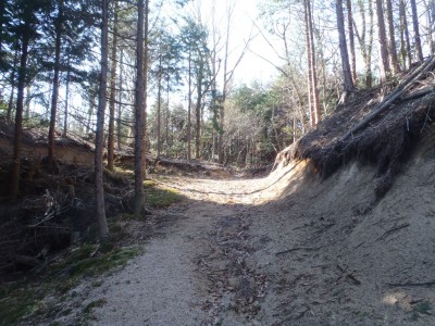 林道終点.JPG (327.33 KiB) 閲覧された回数 4682 回 林道終点