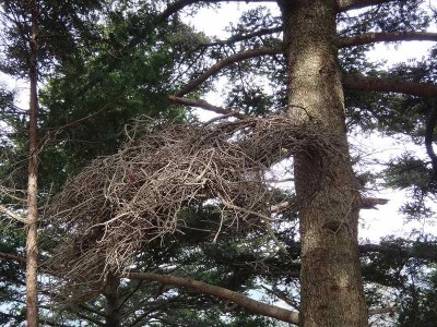 DSC01326.jpg (98.83 KiB) 閲覧された回数 6792 回 熊棚?別の角度から