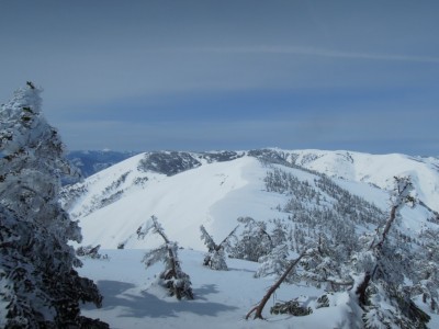 遥かなる会津駒.JPG (182.95 KiB) 閲覧された回数 2577 回 遙かなる会津駒