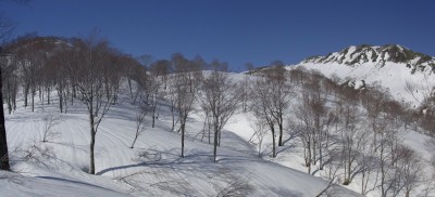 パノラマ 21_1_1.JPG