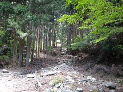 土石流後の林道