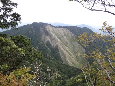 矢頭山からP 716.JPG (212.97 KiB) 閲覧された回数 3589 回 矢頭山からP 716