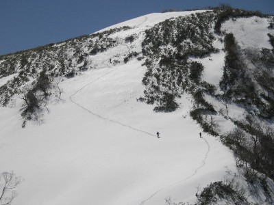 山日和さんと飛馬さんの出会い