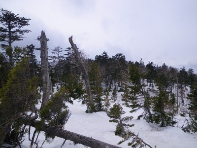 IMGP6867.jpg (191.14 KiB) 閲覧された回数 7874 回 大野川尾